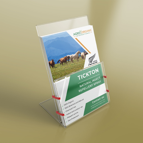flyer printing Abu Dhabi